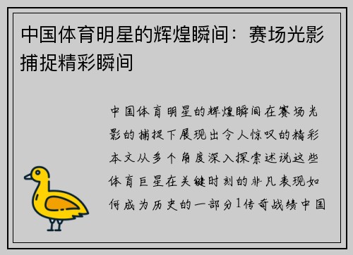 中国体育明星的辉煌瞬间：赛场光影捕捉精彩瞬间